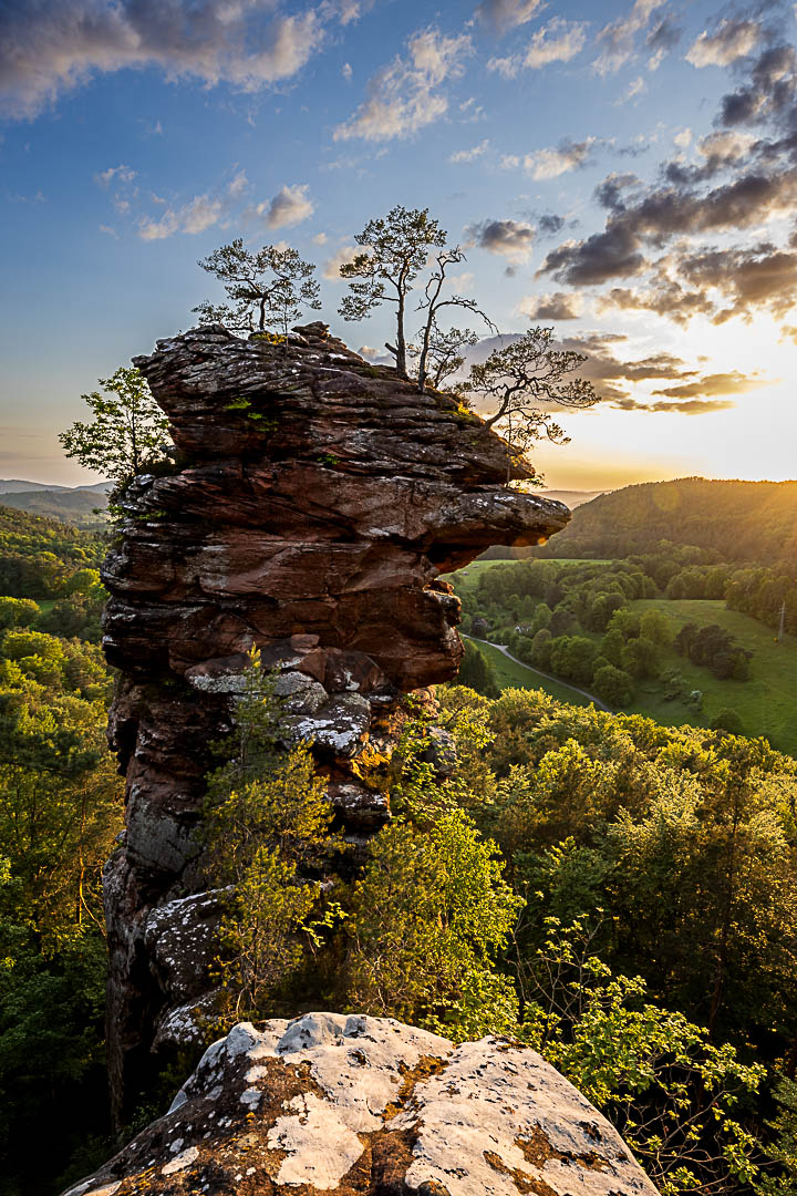 Tagesende am Sternfelsen im Pfälzerwald