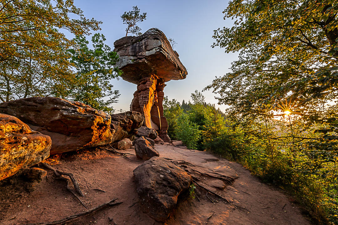 Sonnenaufgang am Teufelstisch. Der markante Sandsteinfels leuchtet in der Morgensonne eingerahmt von Bäumen.