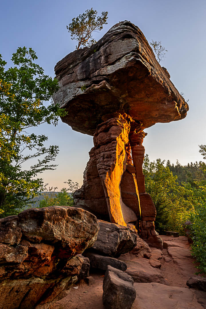 Sonnenaufgang am Teufelstisch. Der markante Sandsteinfels leuchtet in der Morgensonne