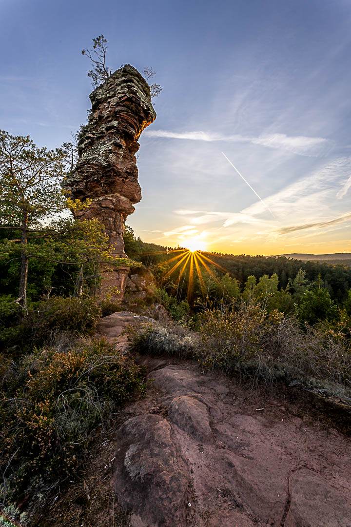 Sonnenuntergang am Lämmerfelsen. Der Sandsteinfels leuchtet in der Abendsonne. Pfälzerwald zum Genießen