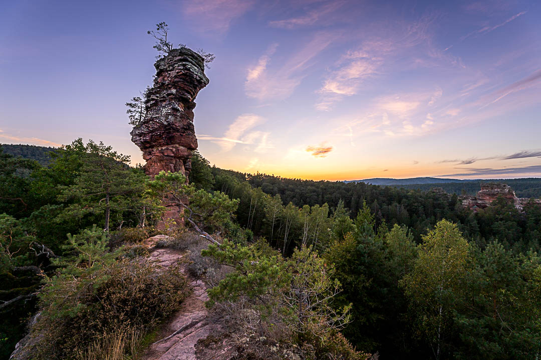 Sonnenuntergang am Lämmerfelsen. Der Sandsteinfels leuchtet in der Abendsonne. Pfälzerwald zum Genießen