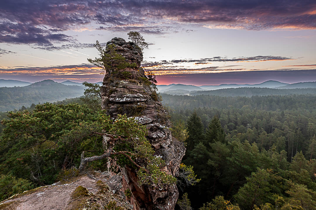 Herbst im Pfälzerwald. Am Lämmerfelsen ziehen Wolken auf der Himmel wird von der aufgehenden Sonne beleuchtet