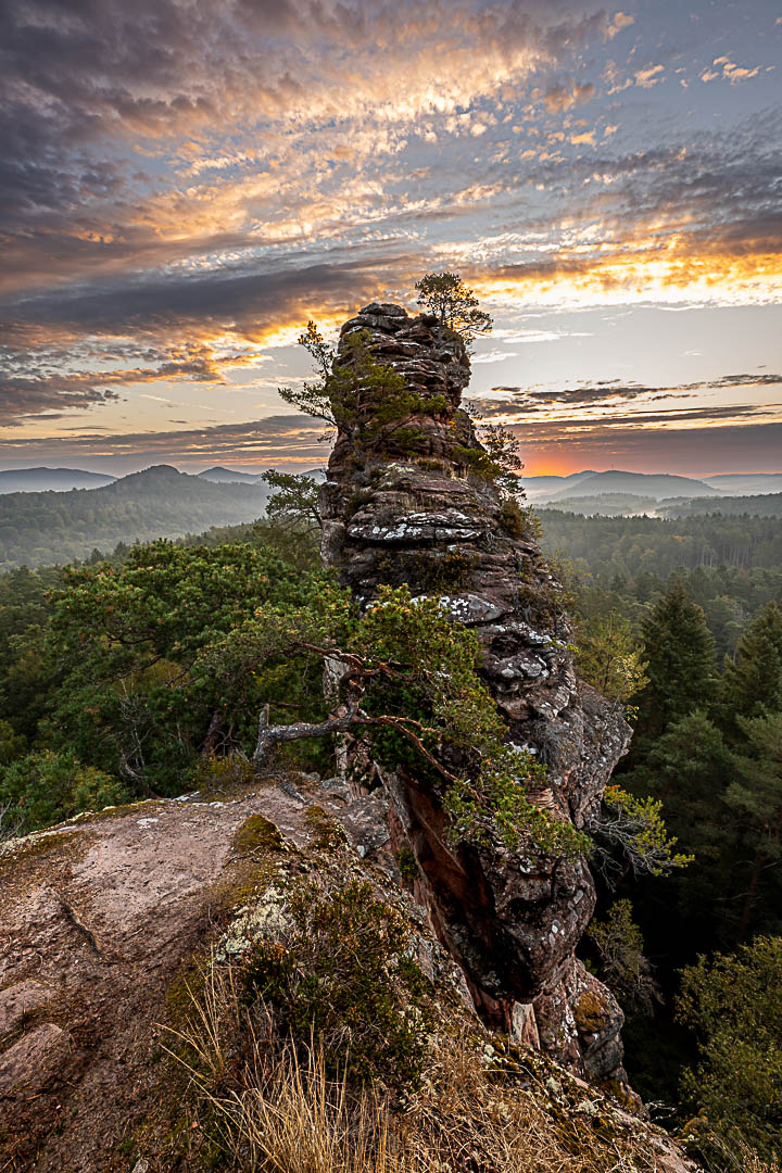 Herbst im Pfälzerwald. Am Lämmerfelsen ziehen Wolken auf der Himmel wird von der aufgehenden Sonne beleuchtet