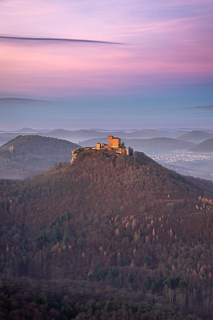 Wintermorgen über der Burg Trifels, Die Lärchen schimmern gelb, die Sonne beleuchtet schon die Burg und die Gegendämmerung ist auf ihrem Höhepunkt