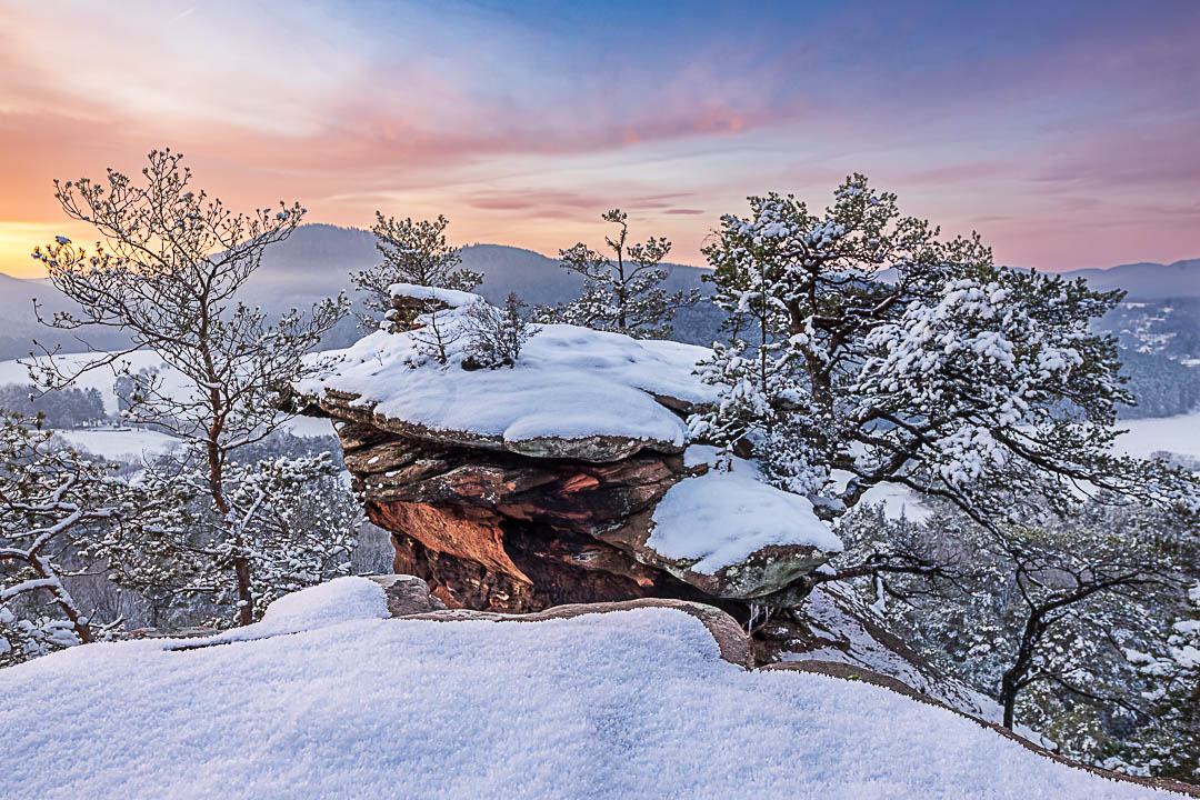 Winterlicher Morgen mit einem schneebecketen Pfälzerwald und einem farbenprächtigen Himmel am Sprinzelfelsen