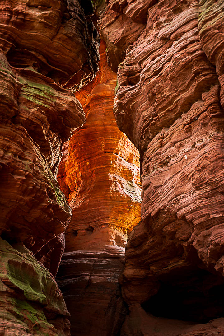 Das Felsenleuchten am Altschlossfelsen im Pfälzerwald