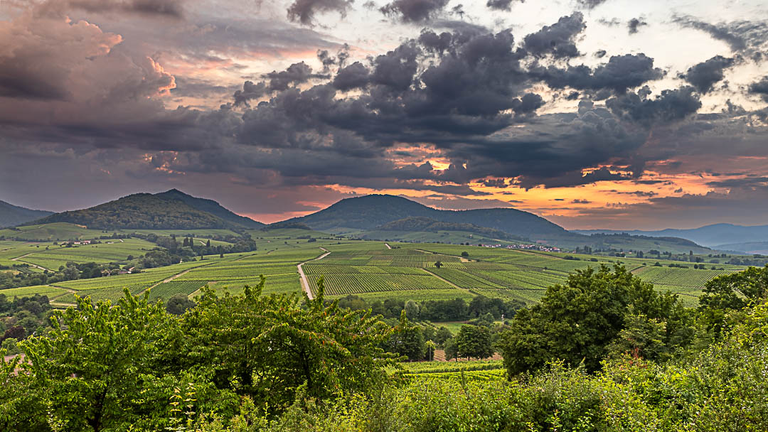 Gewittricher Sommerabend auf der kleinen Kalmit in Richtung Pfälzerwald und Haardt mit Wald und Weinbergen