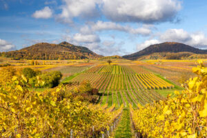 Wasgau, Herbst, Indian summer, Weinberge, buntes Laub, Pfälzerwald